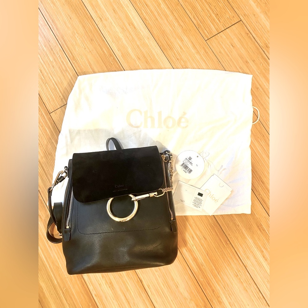 Chloe Faye Bag and Backpack